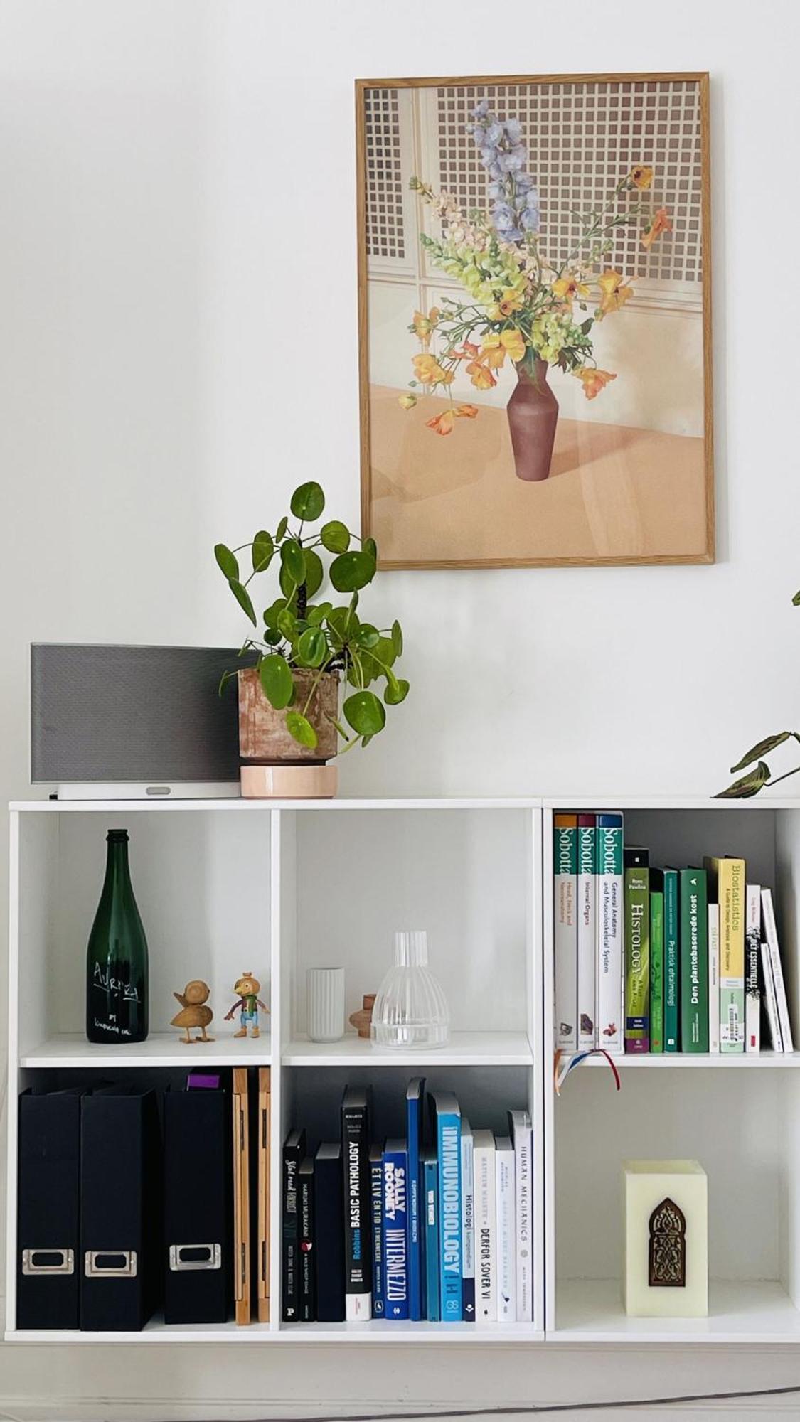 Apartmentincopenhagen 1563 Lejlighed